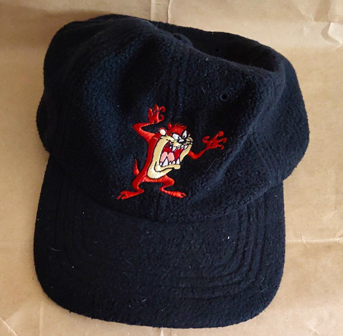 Looney tunes tasmanian - looney, devil
