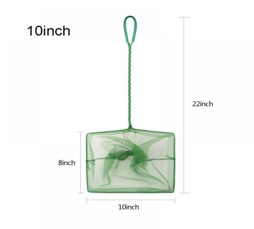 Large inch aquarium fish - 10,
