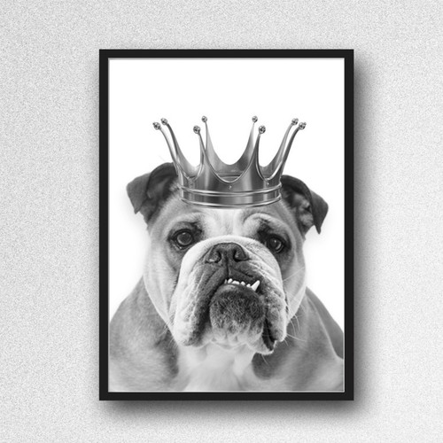English bulldog crown - crown, print