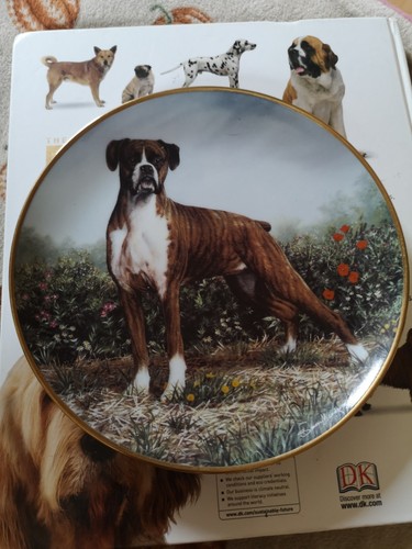 Danbury mint collector plate - danbury, collector's
