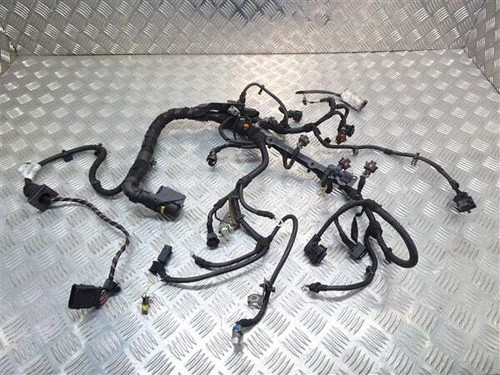 Jts engine wiring loom - engine,