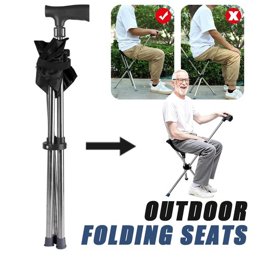 Walking stick with - stick,