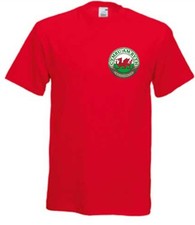 Wales Welsh T-Shirt Cymru Am