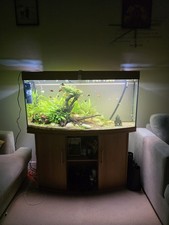 Juwel Vision 260 Aquarium &