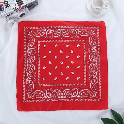 Red bandana head paisley - red,