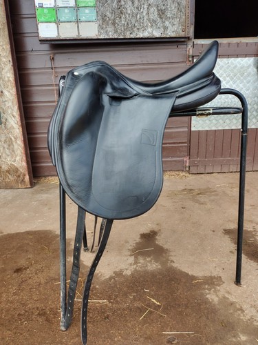 Childeric dpl dressage - dpl,