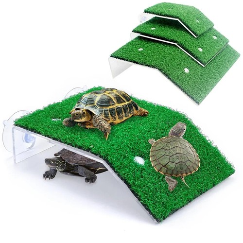 Turtle basking platform - turtle,
