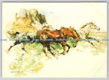 D328659 Appaloosa Horses