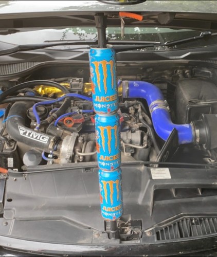 Custom made monster can bonnet - can,