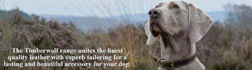 Whippet leather dog collar - whippet,