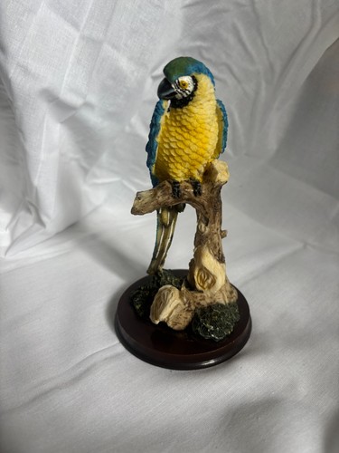 Blue and yellow - and, macaw