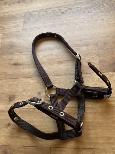 Shires foal headcollar large - shires,