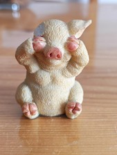 Do Not See No Evil Pig
