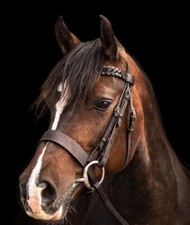 LEATHER PLAITED HUNTER BRIDLE