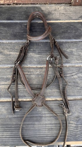 Lemieux grackle bridle - lemieux,