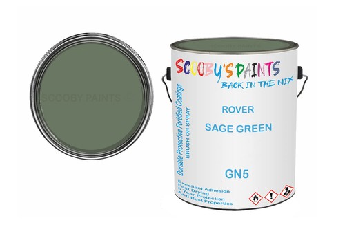 Classic paint for - classic,