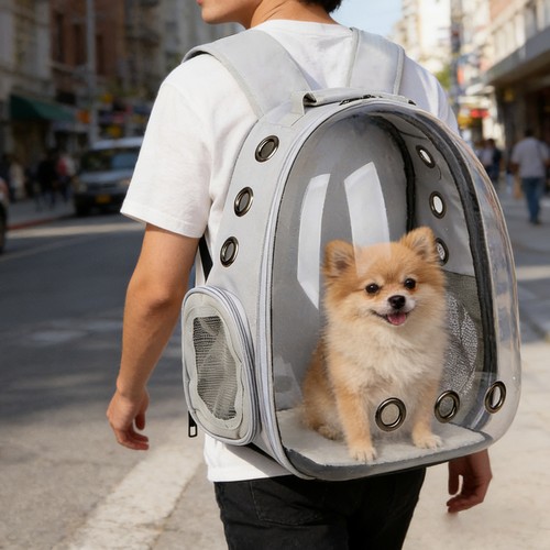 Astronaut style pet carrier - style,
