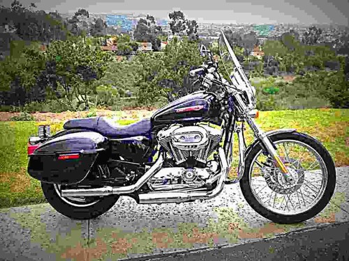 Harley davidson 1200 custom - harley, xl