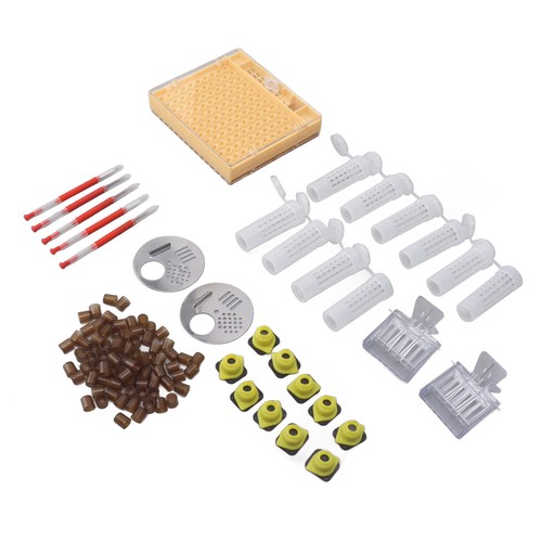 Plastic queen rearing system - queen,