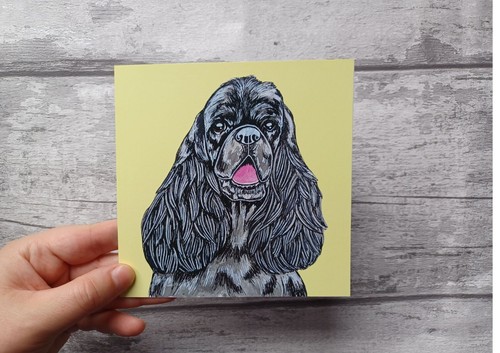 American cocker spaniel - american,
