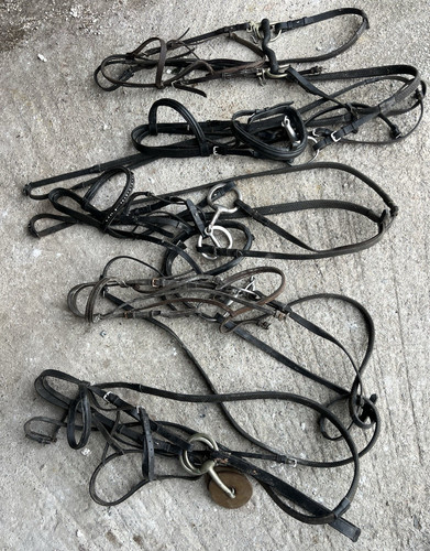 Job lot bridles