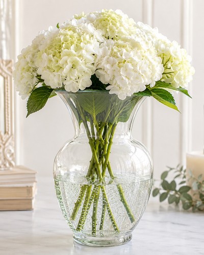 Large clear glass - large,