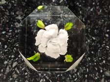 LUCITE?/CLEAR RESIN WHITE ROSE