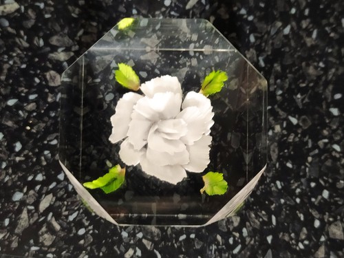 Lucite clear resin white - resin, rose