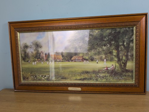 Terry harrison cricket - cricket, print