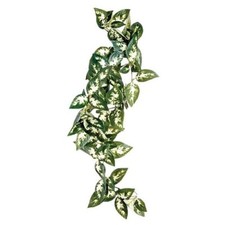 Komodo Borneo Hanging Plant Silk Vines Vivarium / Terrarium Realistic Decoration