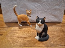 Sherrat & Simpson Cat Sitting