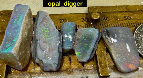 Australian rough opal auctions - australian,