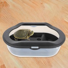  Reptile Terrarium Tortoise