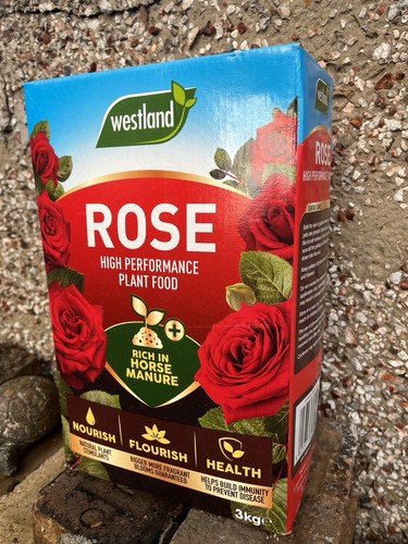 Westland rose high - westland,