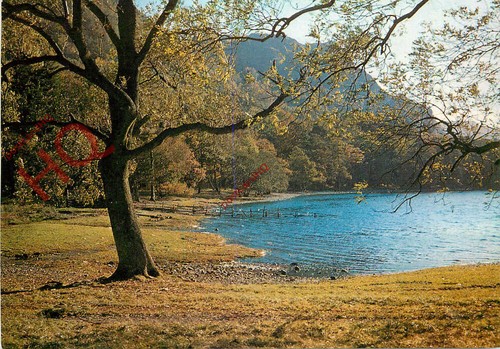 Picture postcard derwentwater - picture,