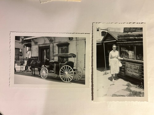 Horse and buggy - and, sally’s