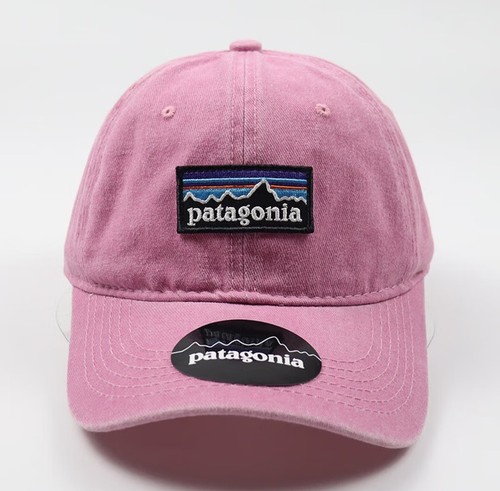 2026 patagonia logo cap - logo,