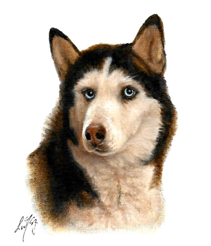 Original oil portrait - original,