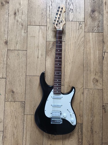 Peavey raptor plus - raptor, exp