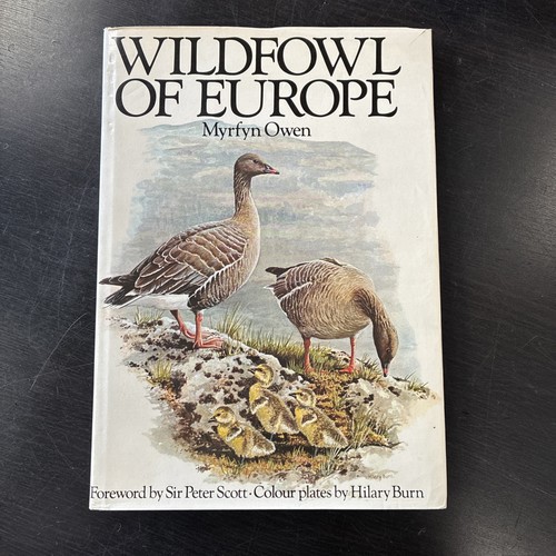 Wildfowl europe owen - wildfowl,