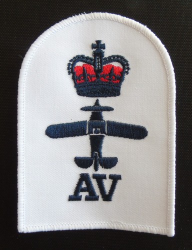 Royal navy fleet air arm - fleet, petty