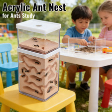 LEVEL Ant Insect Nest Breeding