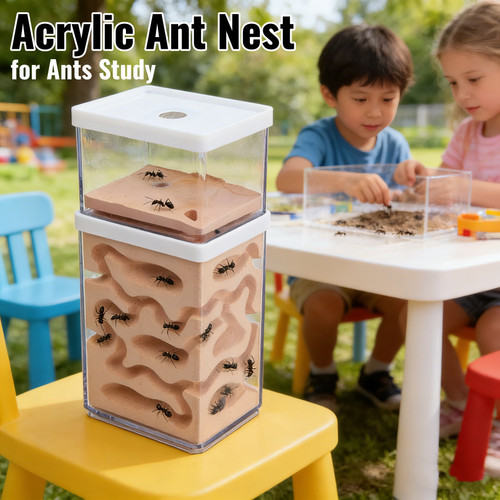 Level ant insect nest - insect, breeding
