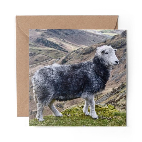 Blank greeting card - x,
