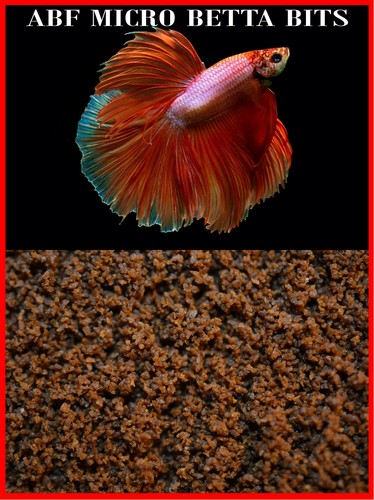 Abf ultra micro floating - floating, betta