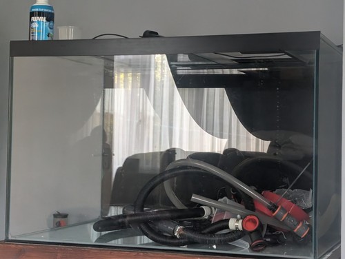 3ft custom fish - tank, full