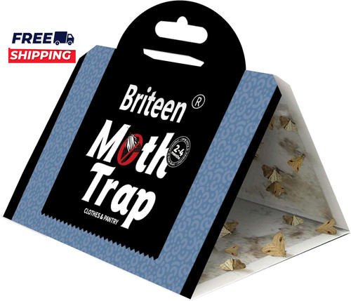 Pack pantry moth - pack,