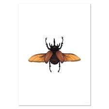 'Atlas Beetle Flying' Wall