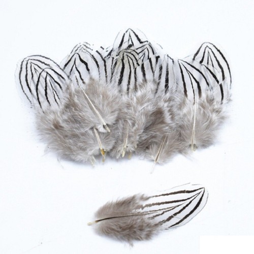 Rare silver lady - silver,