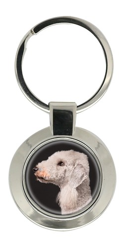 Bedlington terrier key - bedlington, ring